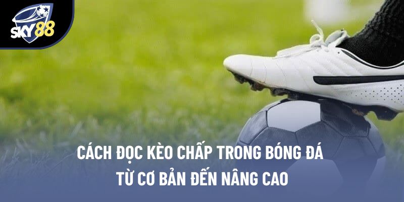 Cách Đọc Kèo Chấp Trong Bóng Đá Từ Cơ Bản Đến Nâng Cao