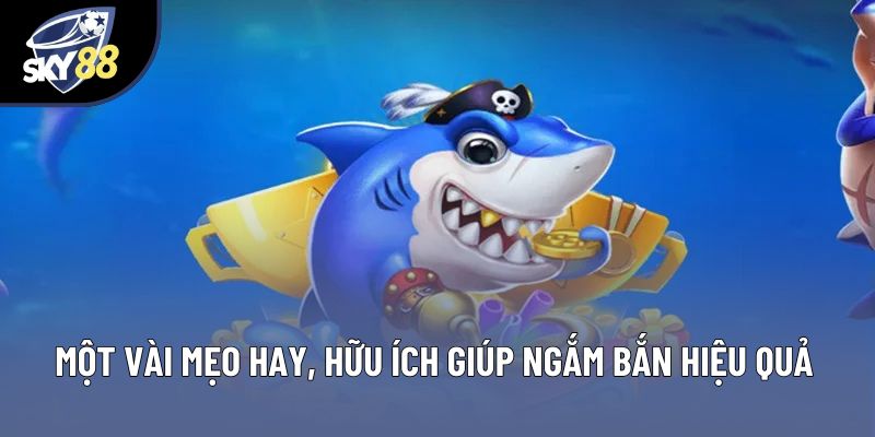Một vài mẹo hay, hữu ích giúp ngắm bắn hiệu quả Một vài mẹo hay, hữu ích giúp ngắm bắn hiệu quả